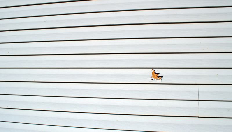 Replacing Damaged Siding